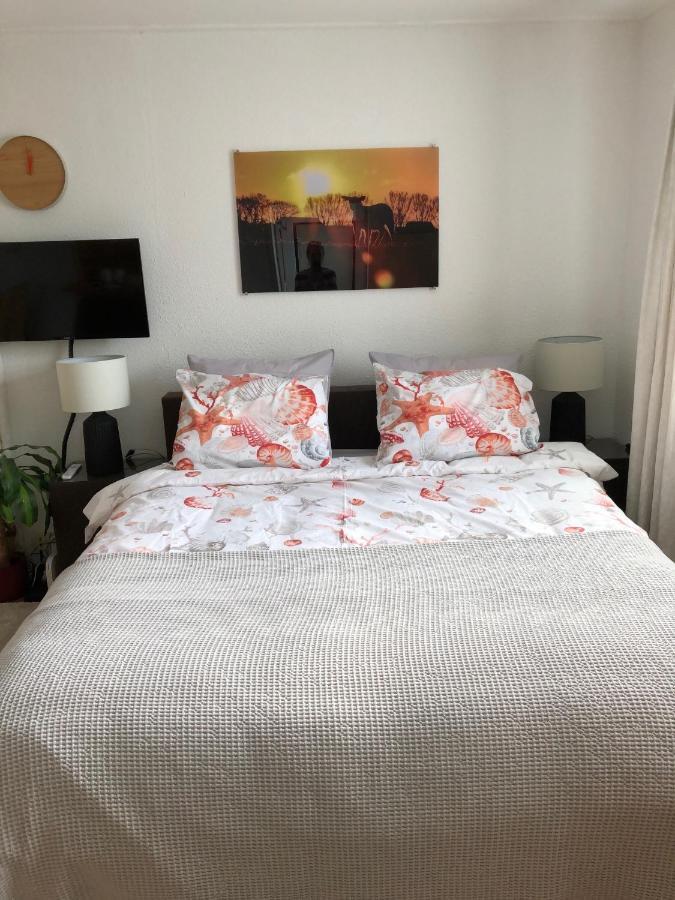 De Vier Berken 1 Apartment De Koog  Luaran gambar